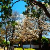 Jardins da Reitoria